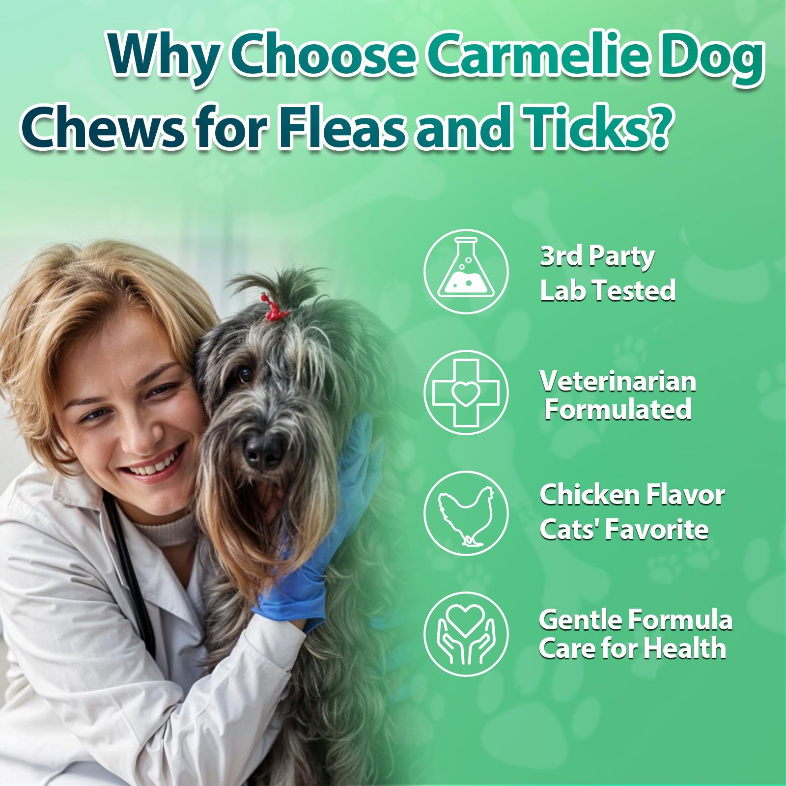 Carmelie Flea & Tick Prevention Support Chews for Dogs – Nutritional Supplement, Not a Treatment – 120/200 Count, Plant-Based Chicken Flavor with Probiotics, Coconut Oil, Flaxseed & Fish Oil – For All Breeds and Ages#TikTokShopBlackFriday