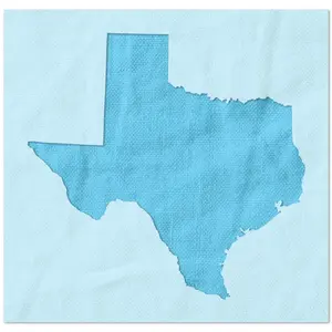 Texas State Outline Stencil