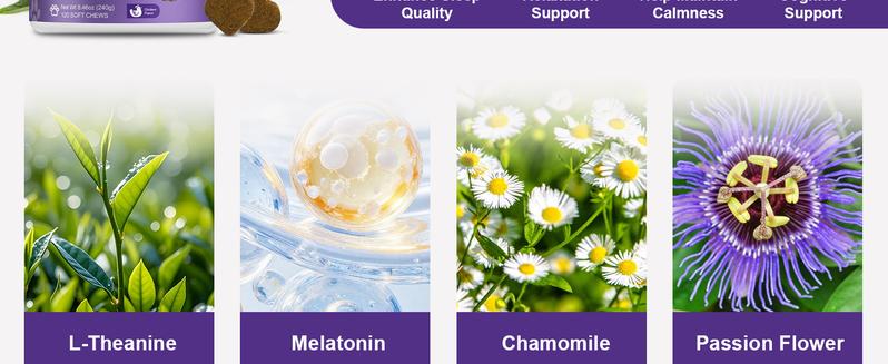 Melatonin for Dogs, Dog Melatonin Calming Chews for Small and Large Dogs - Natural Sleep Aid for Anxiety Stress Relief - Puppy Sleeping Pills - Thunder, Separation, Barking, 3mg, 120ct