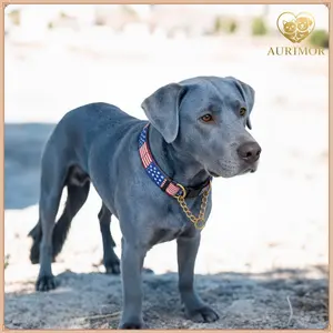 Patriotic American Flag Dog Collar – USA Stars & Stripes Adjustable Pet Collar for Small Medium Large Dogs, Lightweight & Comfortable for Daily Wear,dog products, dog accessories,4th of July & Holiday Dog Accessories