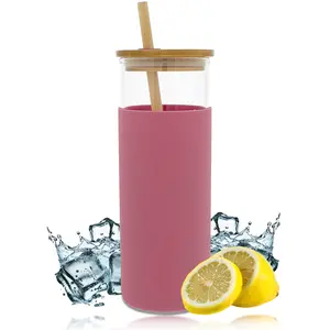 Potted Pans 20oz Clear Glass Water Bottle - Drink Glass Bottle Straw and Lid