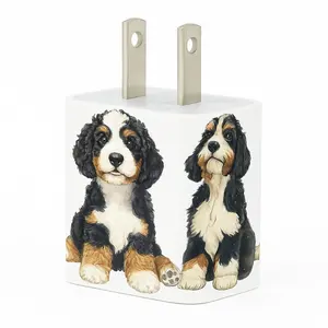 Classy Chargers Bernedoddle 35W GaN Fast Charger – Dual USB-C + USB-A Wall Block for iPhone & Android | Add a cable to make it a set