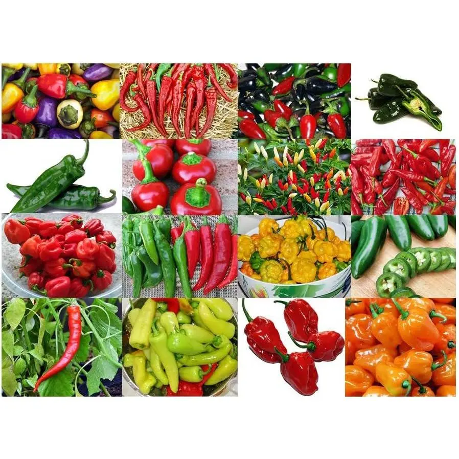 30 Hot Pepper Seeds Mix, 16 Heirloom Non-GMO Pepper Varieties, Habanero, Tabasco, Jalapeño, Scotch Bonnet & More, Capsicum annuum Seeds for Home Garden