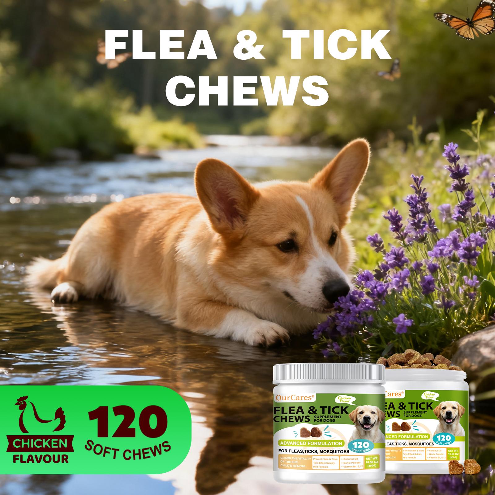 OurCares Flea & Tick Chews for Dogs - Advanced Formula Chewable Tablets with Chicken Flavor - 120 Soft Chews for Flea Prevention & Tick Protection