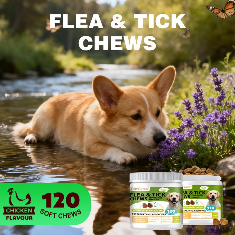 OurCares Flea & Tick Chews for Dogs - Advanced Formula Chewable Tablets with Chicken Flavor - 120 Soft Chews for Flea Prevention & Tick Protection