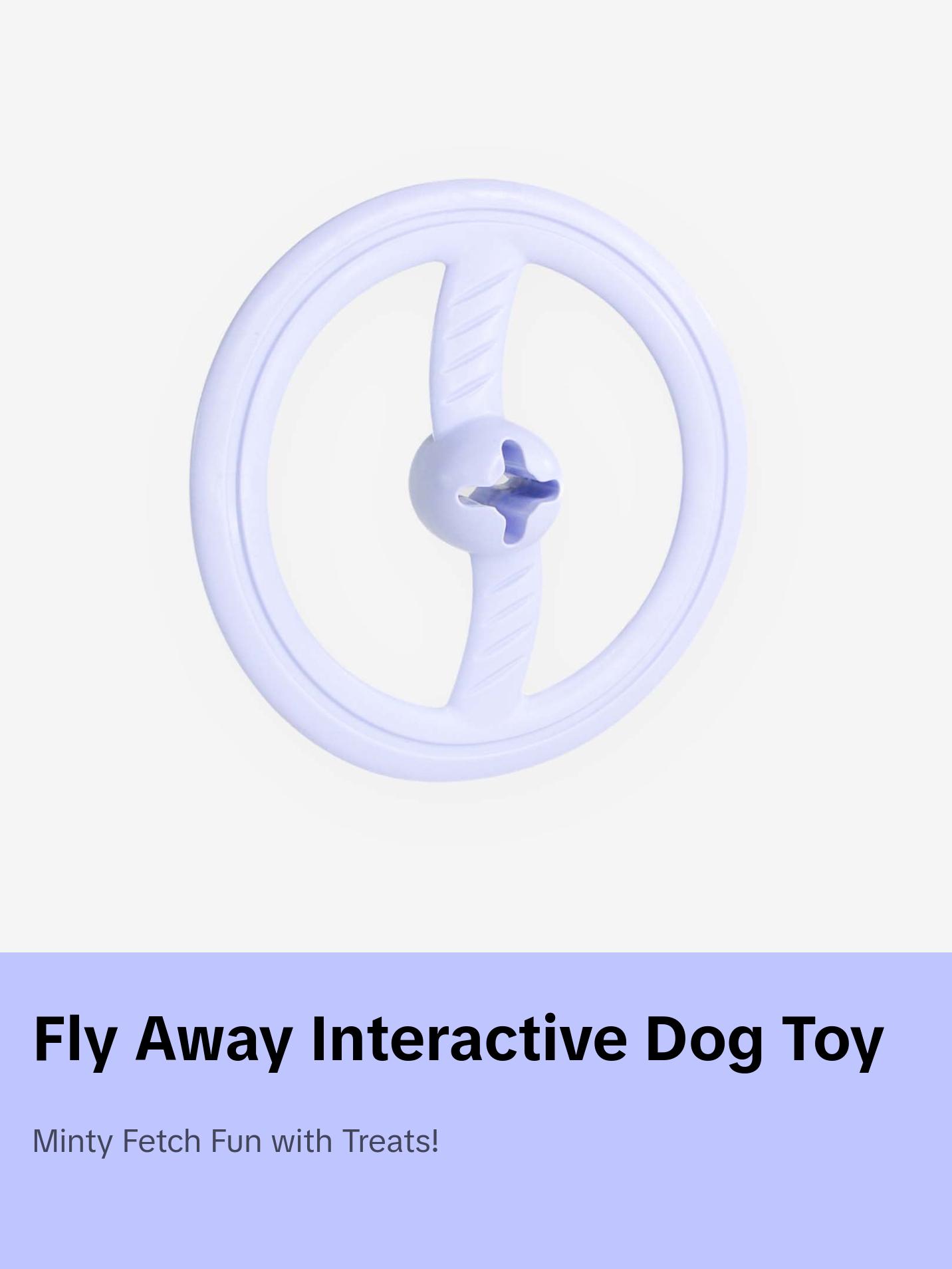 Fly Away Dog Toy