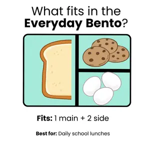 The Everyday Bento Box