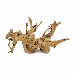 Small Spider Wood / Cuckoo Root, Natural Wood Material