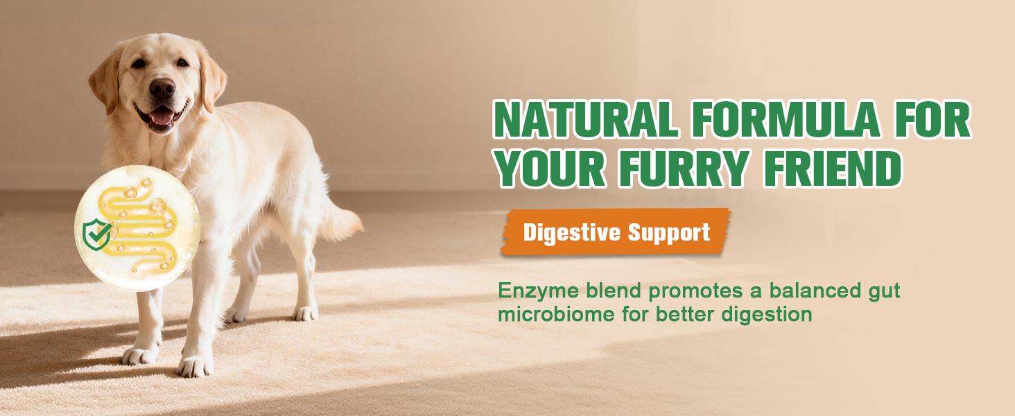 Petrivium No Poo Chews - Coprophagia Deterrent for Dogs, No Poop Eating Deterrent for Dogs, Stopping Dog from Eating Poop Supplement with Probiotics & Digestive Enzymes 150ct Petrivium No Poo Chews - Coprophagia Deterrent for Dogs, No Poop Eating Deterrent for Dogs, Stopping Dog from Eating Poop Supplement with Probiotics & Digestive Enzymes 150ct