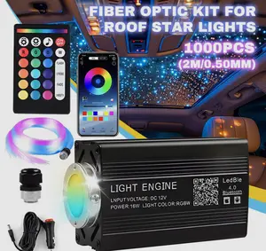 Professional Grade Star Light Kit 1000pcs 0.5mm2m Fibers 12V Power Supply with Testing Guide DIY Installation Tutorial Included