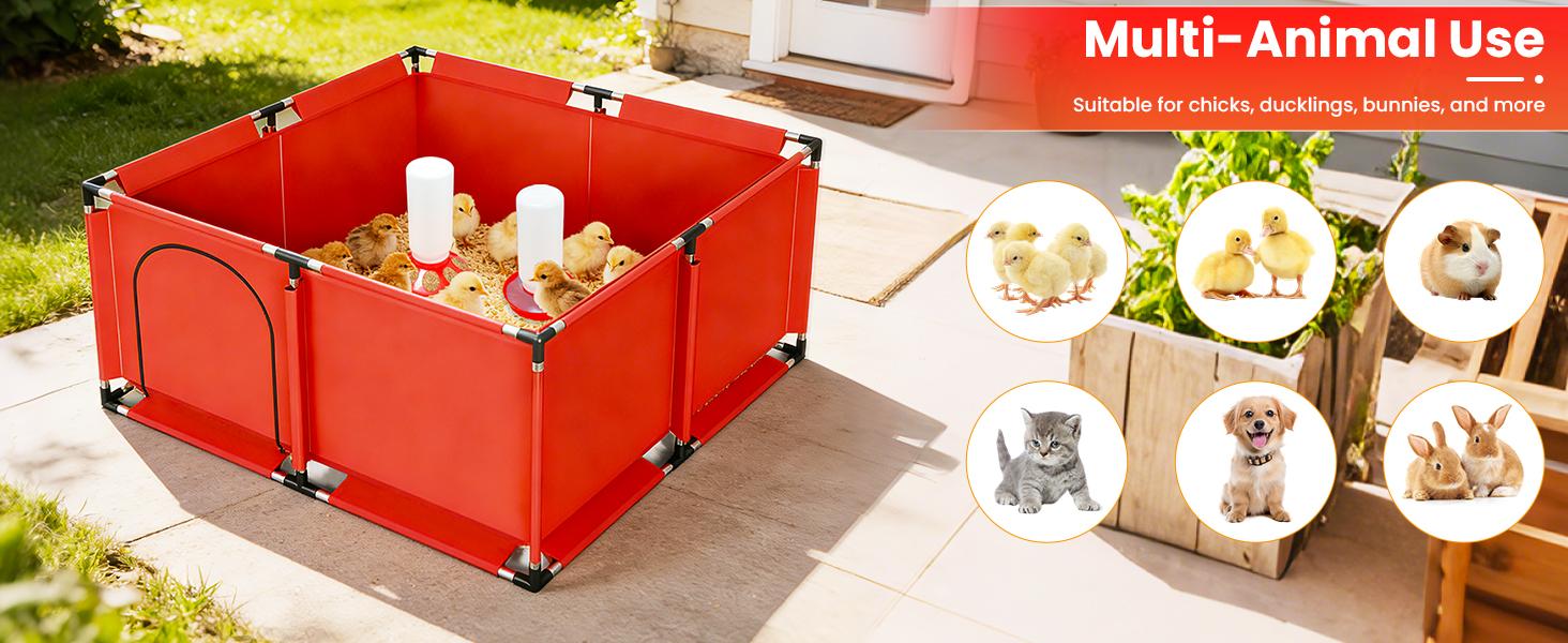 Chicks Brooder Box for Chicken Starter Kit Includes Timing Heat Lamp, Sawdust, Chick Feeder and Waterer Set Poultry Brooder with Heat Lamp for Baby Chicks, Ducks, Quail Birds