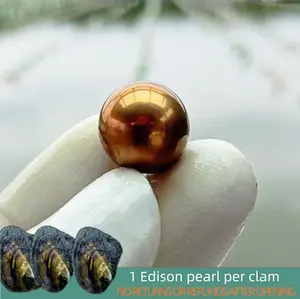 【Will】Marvel Edison (1 Edison pearl per clam) 11-16mm Deep/Red Wine/Pistachio Color Round Edison Pearl Freshwater Pearl Edison Pearl｜Live Opening  Non-Refundable NO RETURNS OR REFUNDS AFTER
