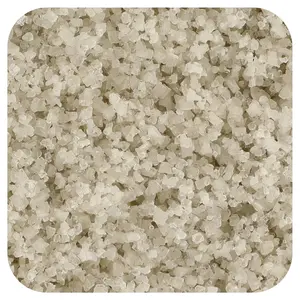 Frontier Co-op Sel Gris (Tamise) Sea Salt, 16 oz (453 g)