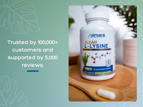 Clean L-Lysine 600mg – Additve-free Formula for Immunity and Muscle Recovery | Palmara Health