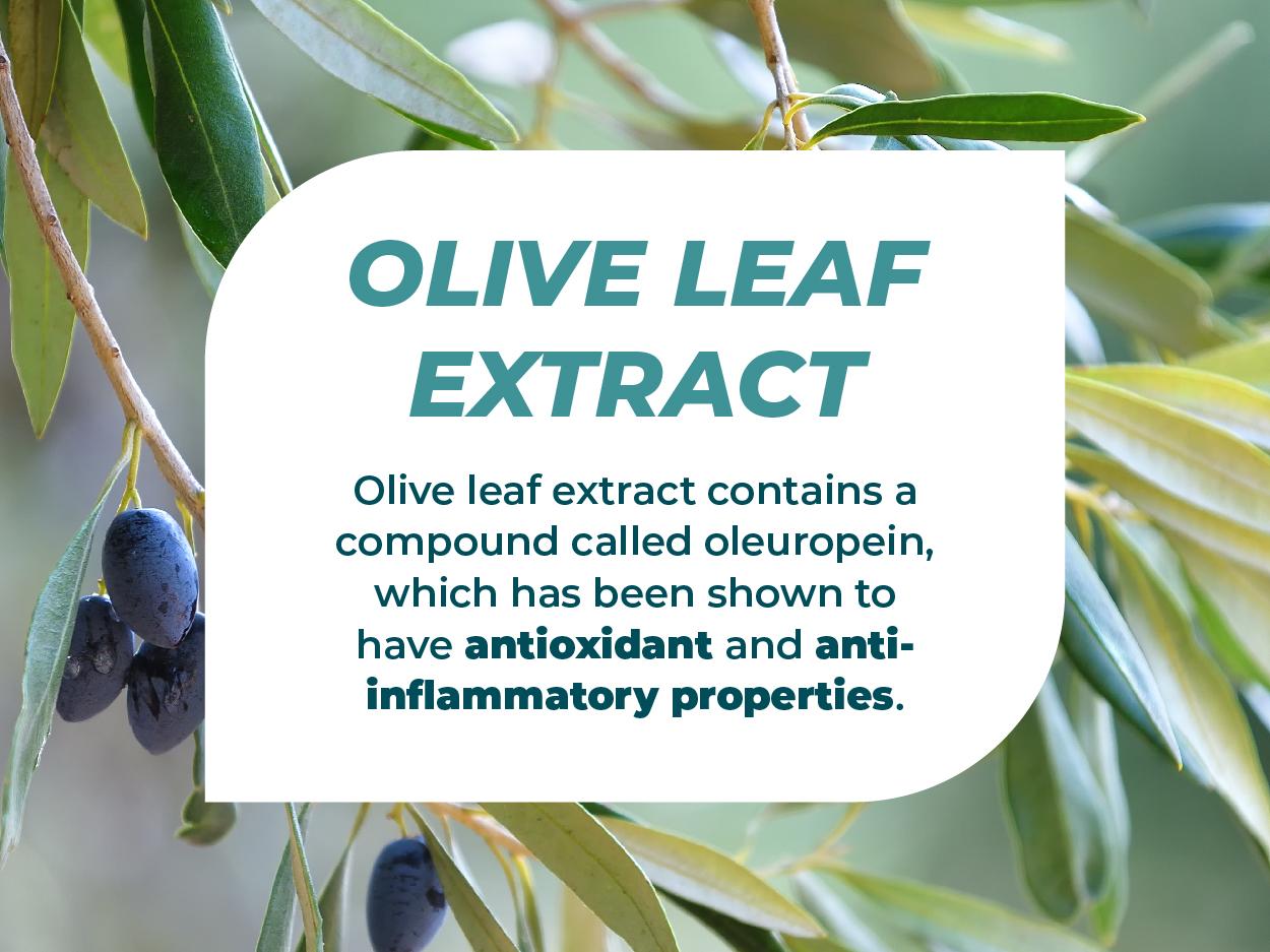 Hearing Support Formula by PUREHEALTH RESEARCH - Tinnitus Supplement with Flavonoids & Hearing Vitamins to Help Silence The Noise, Safely and Naturally - 120 Capsules Edible Dietary Healthcare Hearing Support Formula by PUREHEALTH RESEARCH - Tinnitus Supplement with Flavonoids & Hearing Vitamins to Help Silence The Noise, Safely and Naturally - 120 Capsules Edible Dietary Healthcare