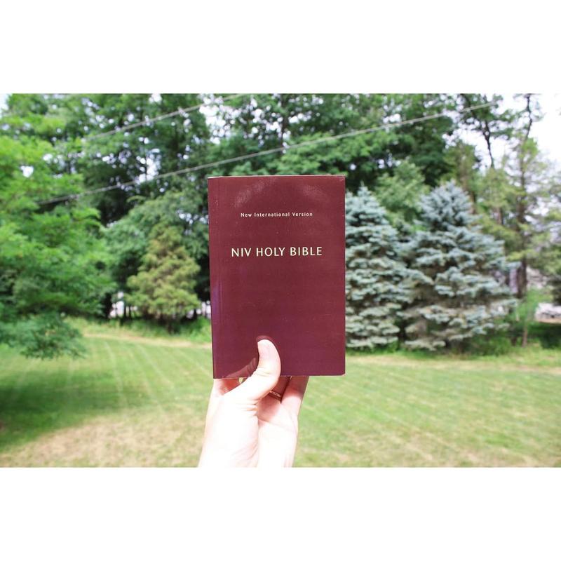 NIV, Holy Bible, Compact, Paperback, Burgundy, Comfort Print Paperback – July 19, 2022