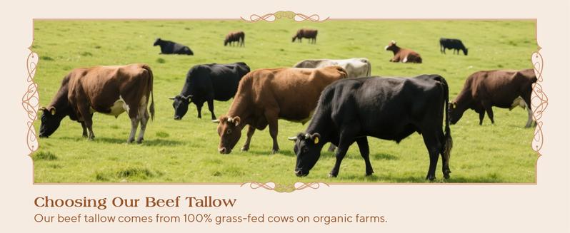 ISTON 4 oz - Handcrafted, all-natural shea butter and honey lip balm, unscented, with grass-fed shea butter and raw honey, suitable for all skin types, brightens and moisturizes,Smooth Skin - Handmade All-Natural Moisturizer,Christmas gifts,New Year's