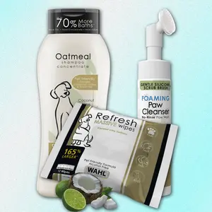 Dog Glow Up Spring Bundle