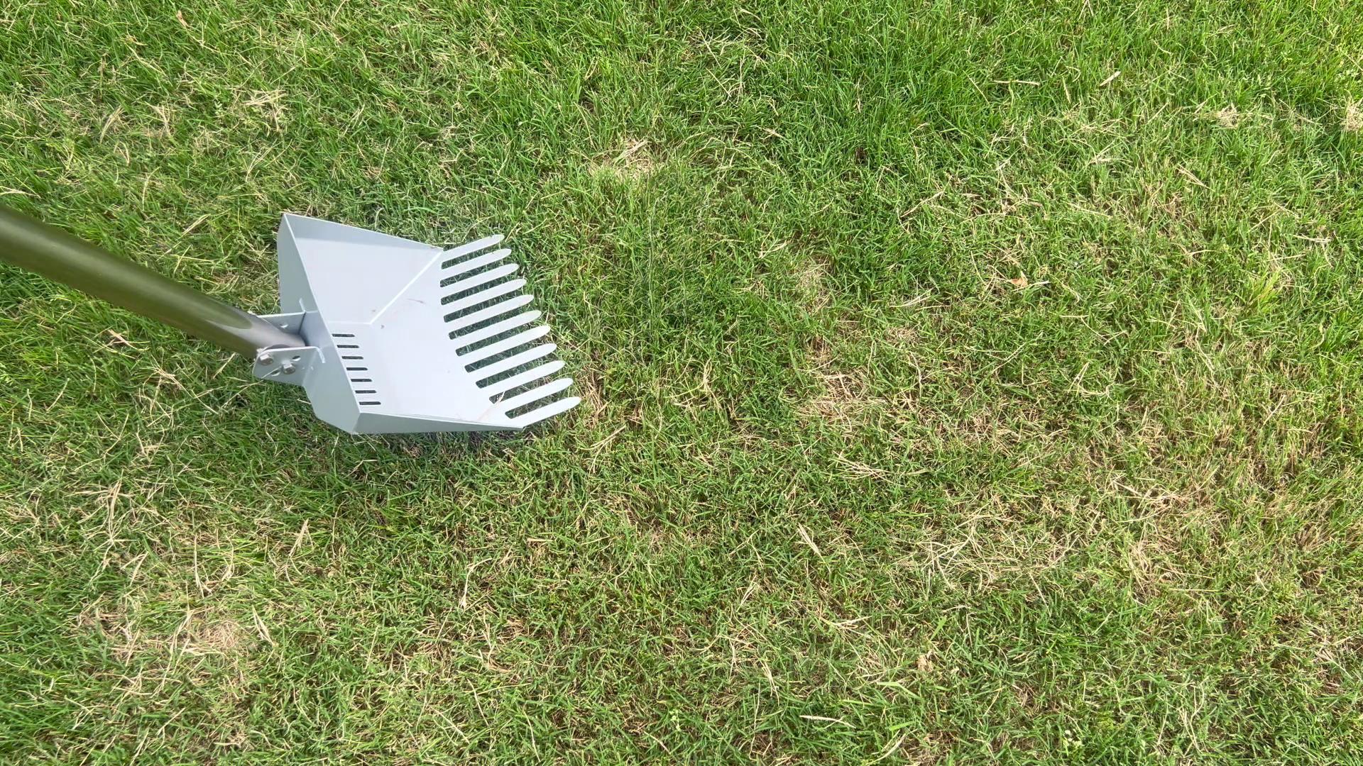 CKLT 66inch Tempered Spring Steel Scoop Heavy Duty Pooper Scooper Long Stainless Steel Handle Dog Pooper Scooper for Large Dogs Outdoor Pet Waste Removal Shovel