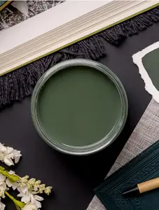 Briar Patch  - Dixie Belle Chalk Mineral Paint