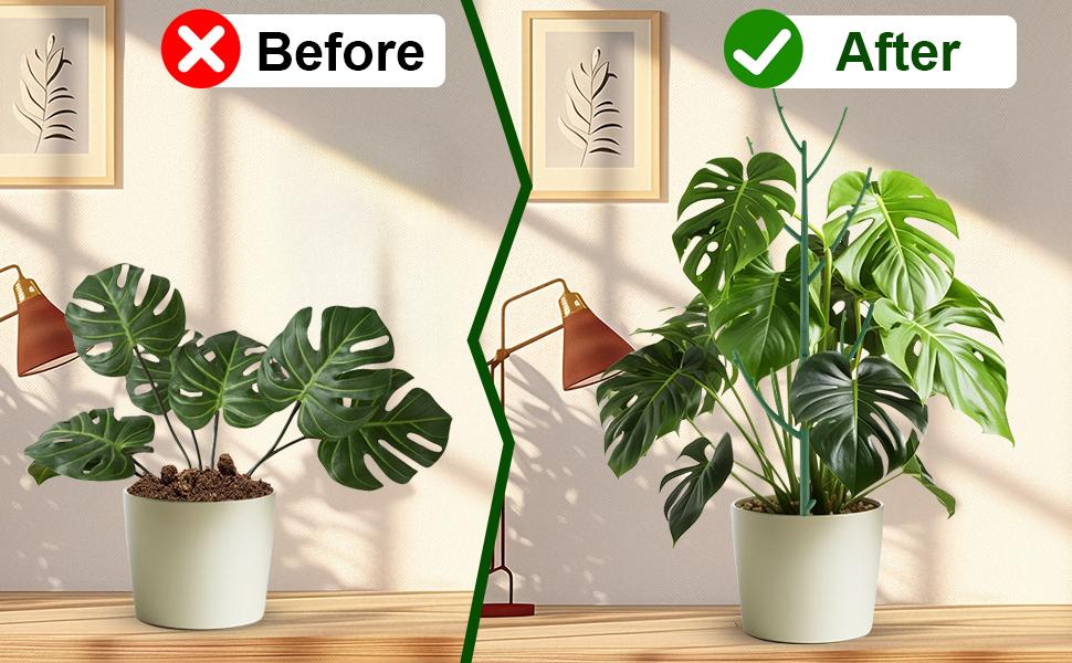 Stackable Monstera Plant Support: Garden Stakes for Climbing Plants Stem Support – Durable Plant Accessories for Indoor Outdoor Potted Plants, Pothos, Vine, Flower