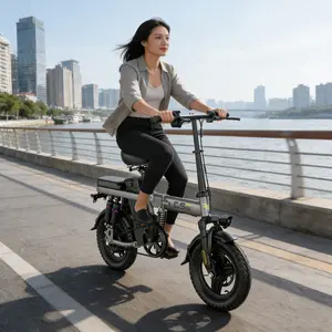 Bike GS5- 700W Motor 48V15AH Battery 32 Miles Range Foldable Design Suitable for daily commuting