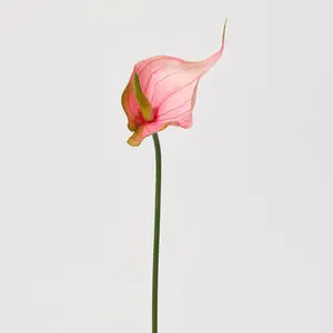 Tropical Pink Fantasy Anthurium Spray Single Bloom Faux Floral Stem - 23"