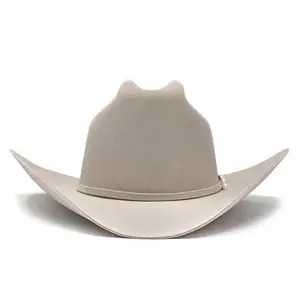 Stetson 6x Edición Especial Guadalupana Silverbelly