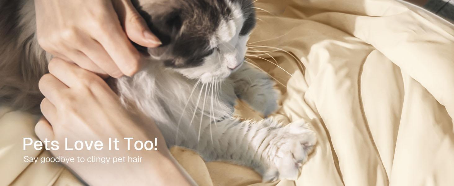 Cooling Summer Comforter! Machine-Washable Cooling Air-Conditioning Quilt, 2026Portable Storage Ice Silk Summer Duvet (Gray)