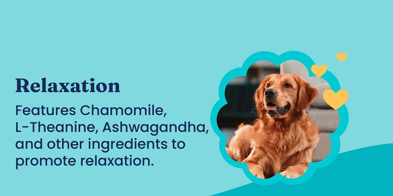 Dog Pet Chews for All Breeds - Multivitamin, Calming - Chicken & Meat Flavors, Skin & Coat Support, Training Treats 90 Capsules-5.99