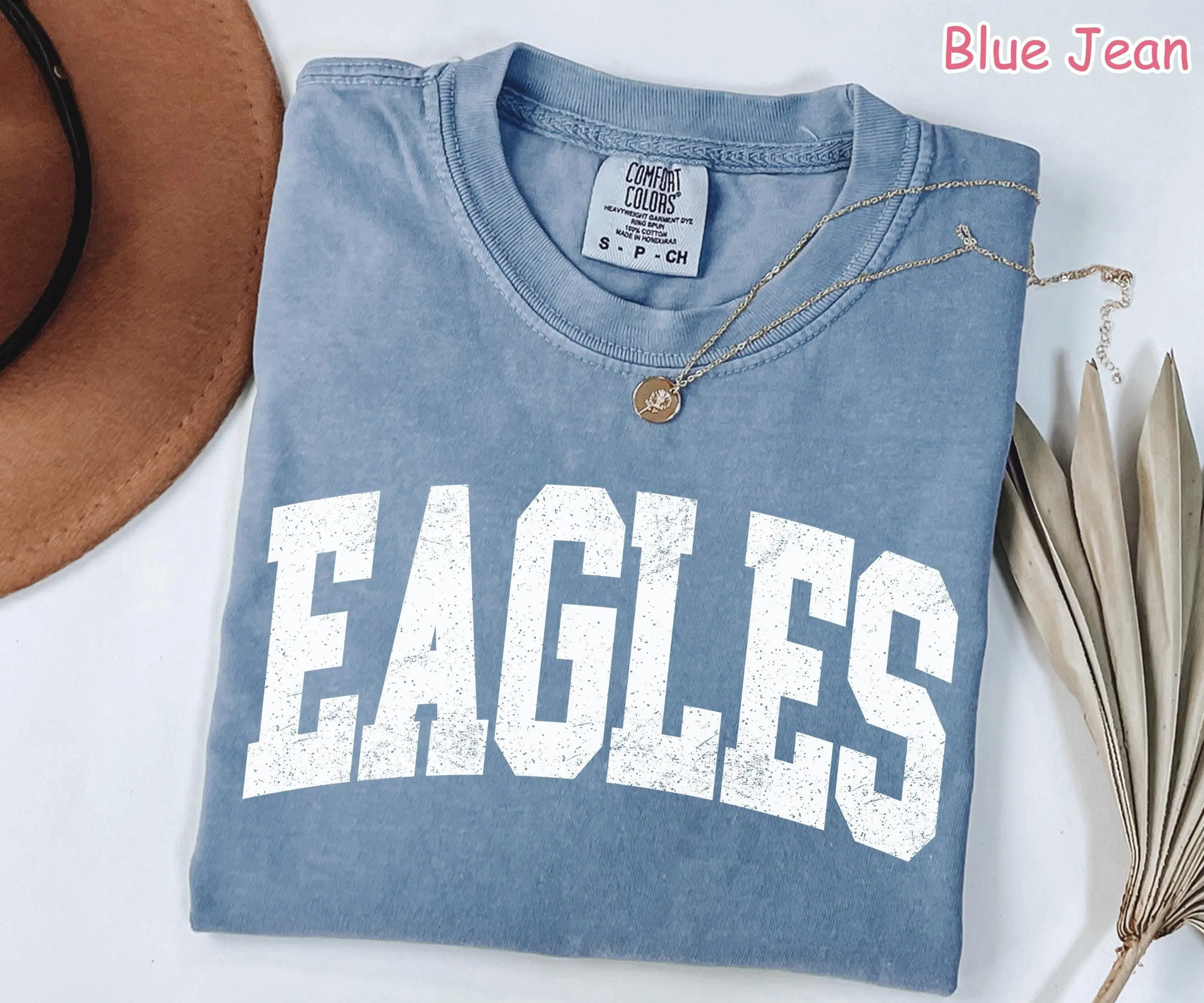 Comfort Colors Retro Eagles Shirt, Game Day Eagles Tee, School Mascot Shirt, College Spirit Eagle Mascot Shirt, Tailgate Football Mom Shirt
