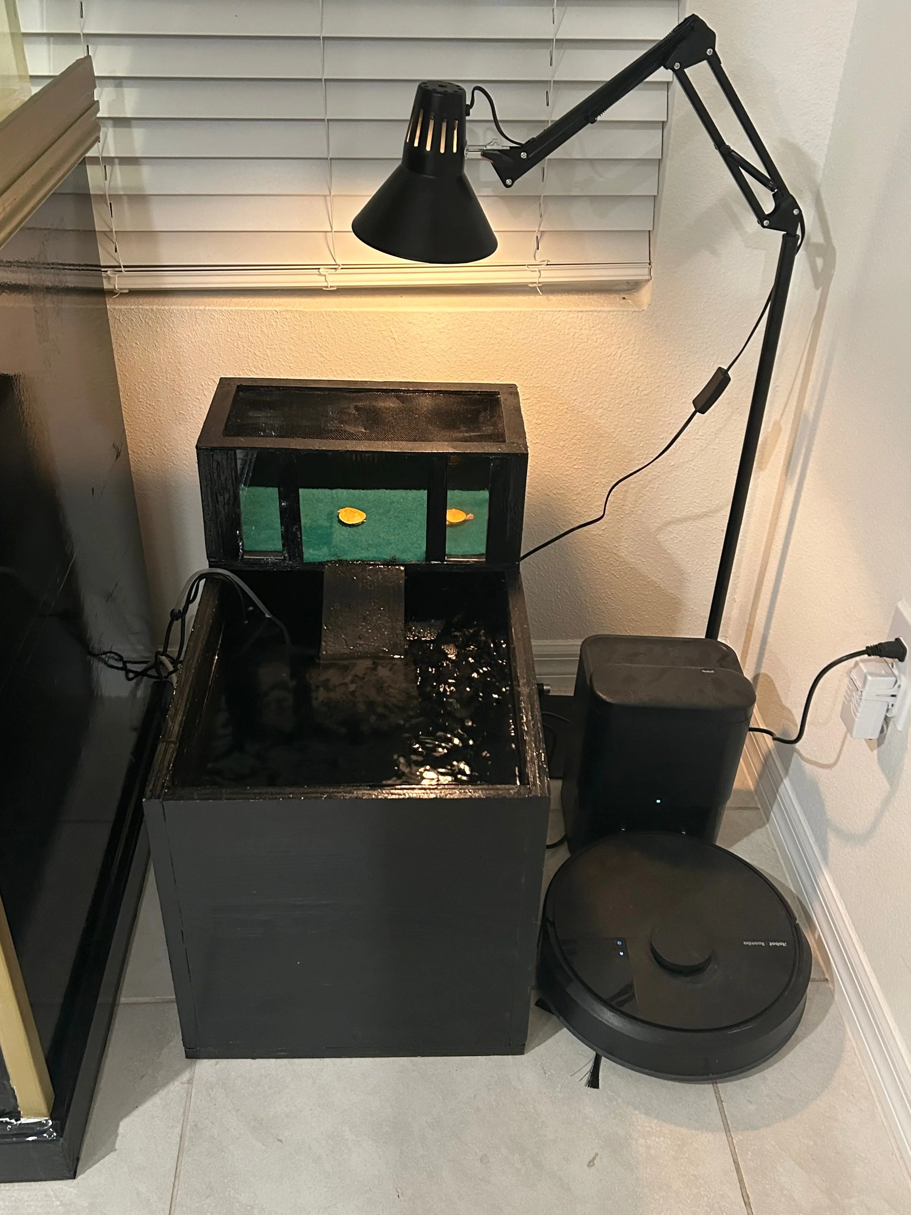 Turtle Pond Indoor
