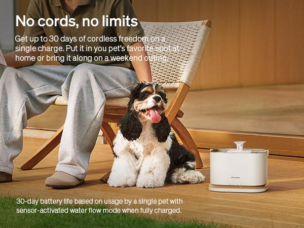 PETLIBRO Dockstream 2 Cat Water Fountain Cordless Battery Operated 3L 101oz Stainless Steel Tray 5GHz WiFi App Monitoring Automatic Dispenser PETLIBRO Dockstream 2 Cat Water Fountain Cordless Battery Operated 3L 101oz Stainless Steel Tray 5GHz WiFi App Monitoring Automatic Dispenser