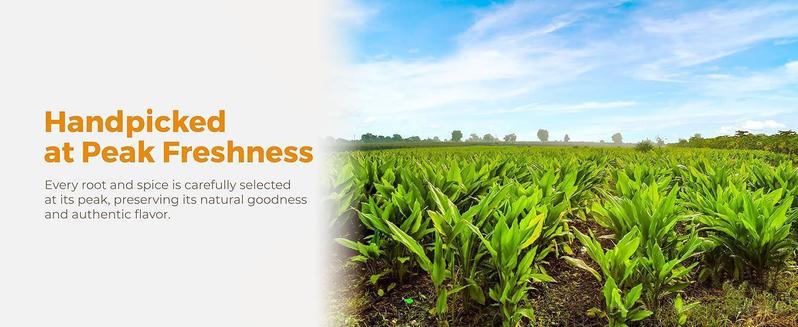 Turmeric Ginger Cinnamon Tea - 100% handmade,Eco-conscious Bags|No Sugar,No Caffeine,No Gluten,Vegan Turmeric Ginger Cinnamon Tea - 100% handmade,Eco-conscious Bags|No Sugar,No Caffeine,No Gluten,Vegan