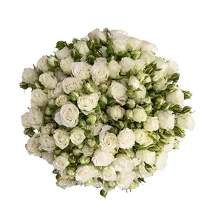 White Spray Roses