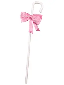 Detachable Shepherds Hook