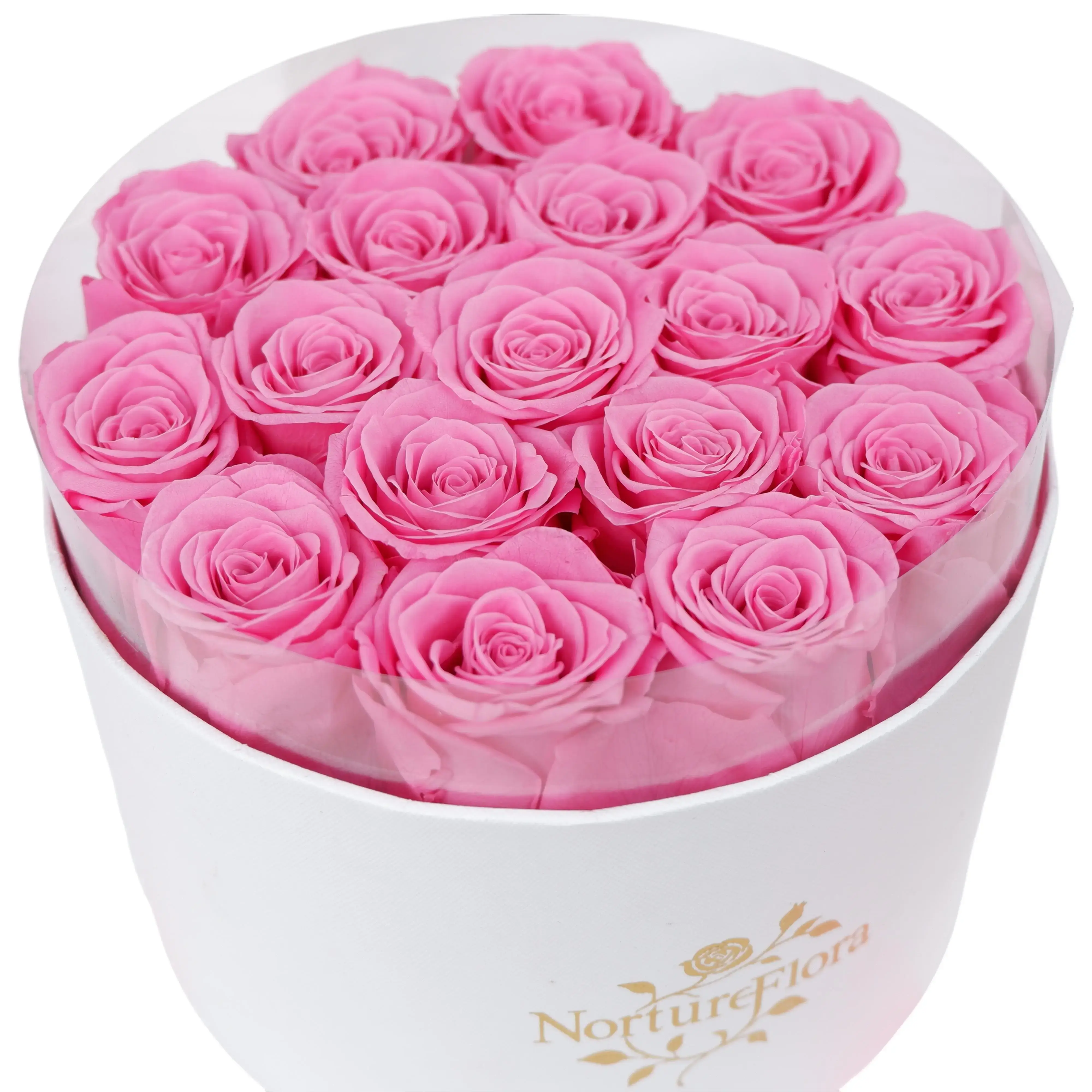 NortureFlora 17-Piece Preserved Pink Round Rose Floral Bouquet in Luxury Box, Decorative Real Forever Flower Gift for Mothers, Ideal Mother's Day Gift, Mother's Day Gifts