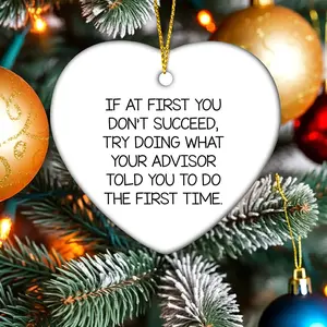 Funny Advisor Gifts from Men for Christmas Unique Gifts - Heart Ornament with Inspirational Quote - Advisor Heart Shaped Ornament for Men Women Friends Coworkers Family