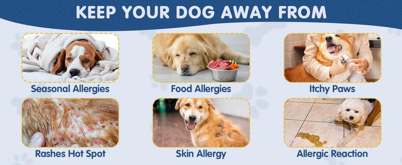 Petrivium Allergy & Itch for Dogs,Dental cleaning powder,32-in-1 Mutivitamin,Probiotic Chews,Turkey tail mushroon, powder,Hip&Joint chews,Natural drops for dog