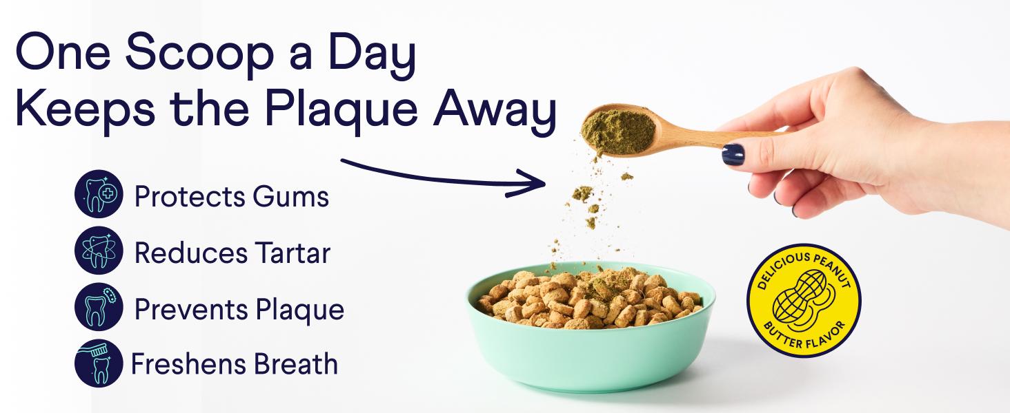 FINN Plaque Patrol Dental Powder For Dogs - 6oz Peanut Butter Flavor - Vet-Formulated with Kelp & EpiCor - Reduces Tartar & Prevents Plaque - Freshens Breath - Made in USA