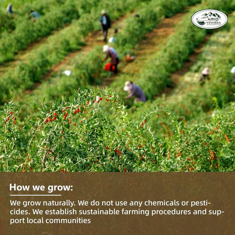 Upgrade Ginseng Six Treasure Herbal Tea – Traditional Botanical Blend, Smooth Earthy Flavor, Caffeine-Free Wellness Tea, 30 Tea Bags