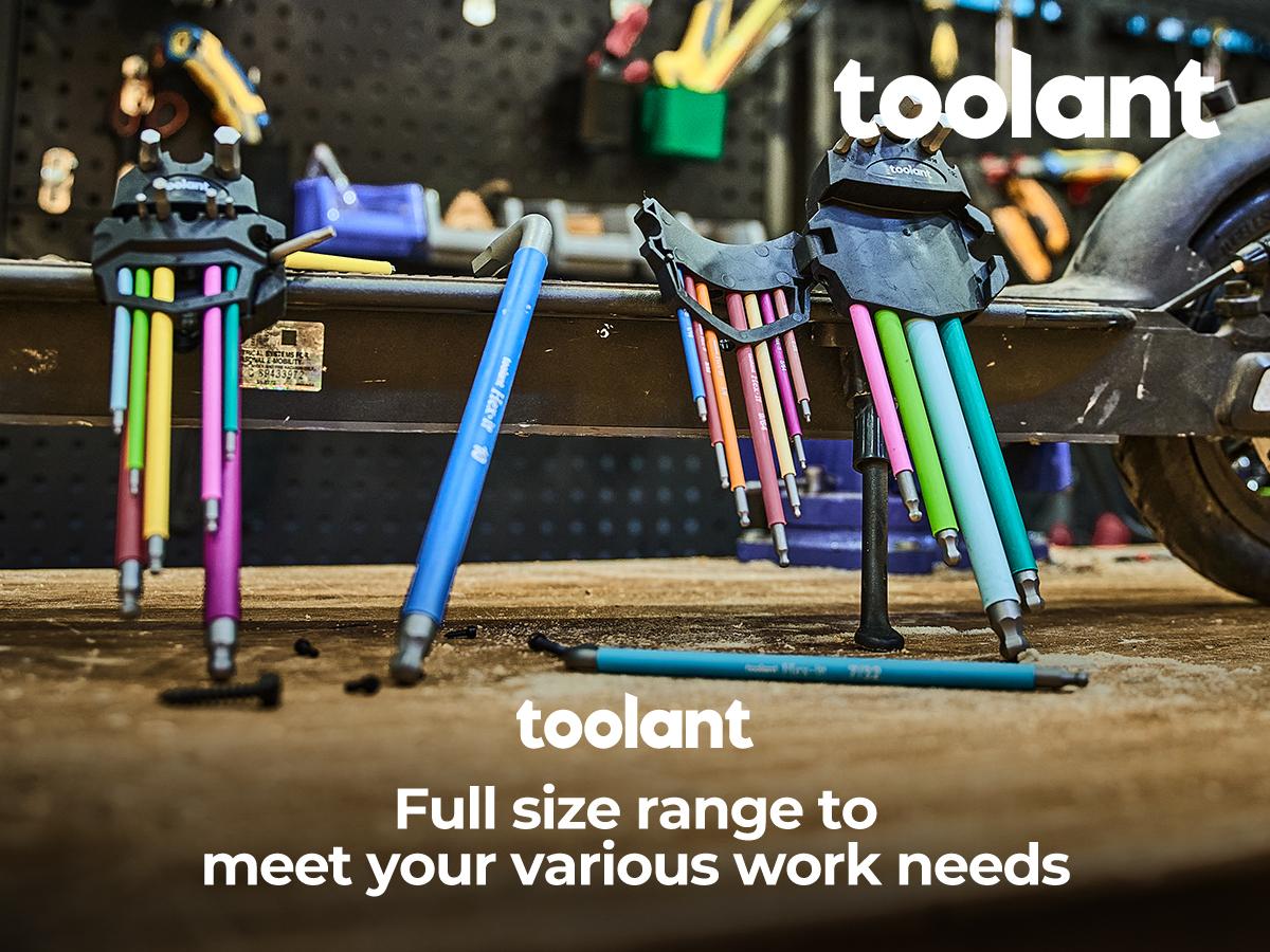 toolant Allen Wrenches Sets 22pcs(Metric&SAE), Extra Long Arm Allen Key Set with Ball End, Unique Patented Design for Magnetizing and Demagnetizing