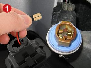 Nilight License Plate Lights Compatible with 2015 2016 2017 2018 2019 2020 Ford F150 Raptor Clear Lens Black housing 6000K White 2PCS Pack Nilight License Plate Lights Compatible with 2015 2016 2017 2018 2019 2020 Ford F150 Raptor Clear Lens Black housing 6000K White 2PCS Pack