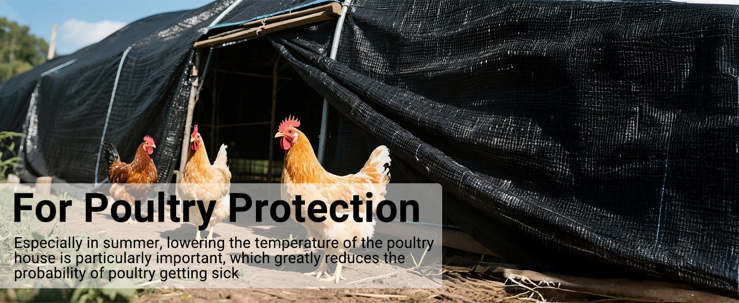10ft×13ft Black Breathable Sun Shade Mesh, Net with Thickened Stitched Hems & Reinforced Grommet Fasteners, Multi Scene Outdoor Sun Cover for Garden Greenhouse Chicken Coop Patio Outdoor Dining Space uv-resistant reinforce rivet dustproof protection