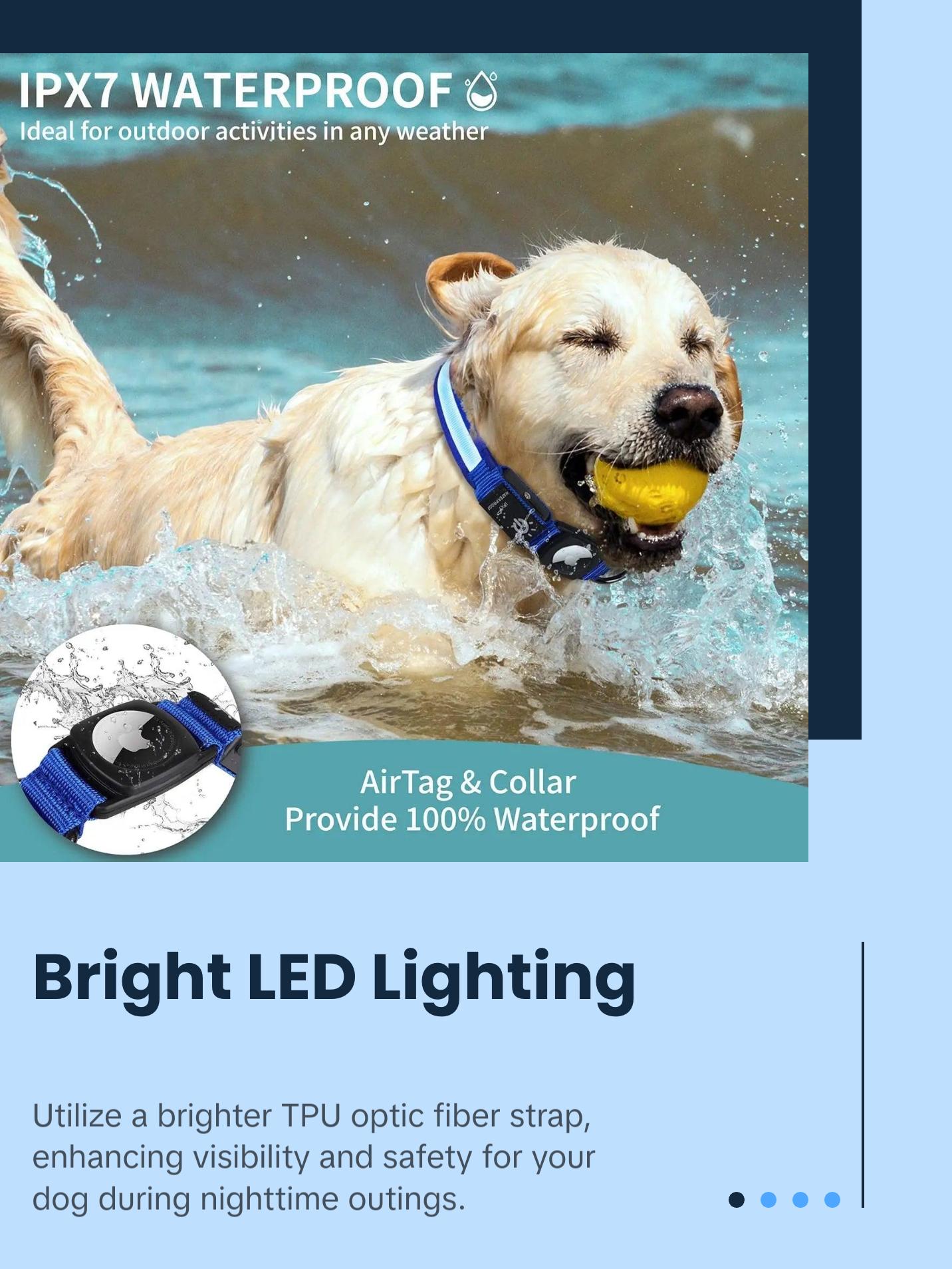 Smart Dog Collars Designed for Apple Air Tag Trackers