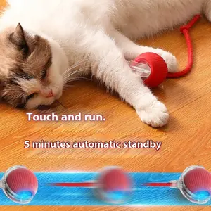 Interactive USB Rechargeable Pet Ball Toy with Bird Sounds, Fun Anti-Anxiety Toy for Cats and Dogs