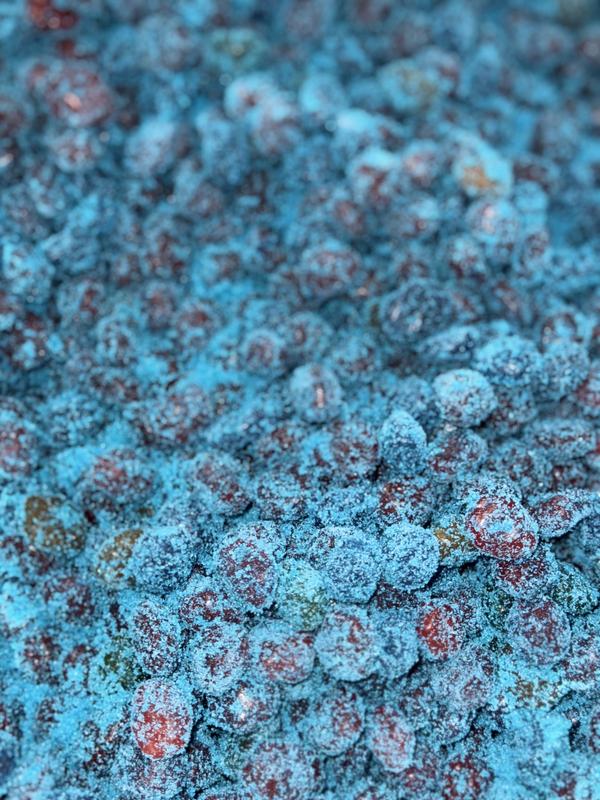 1 lb Sour Blue razz or Chamoy Gushers Sweet Candy Snack Bonbon