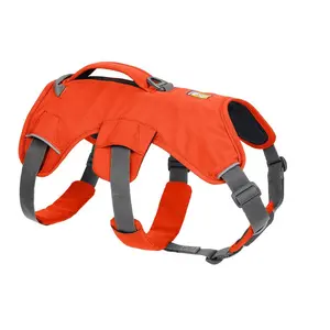 RuffWear Web Master Harness