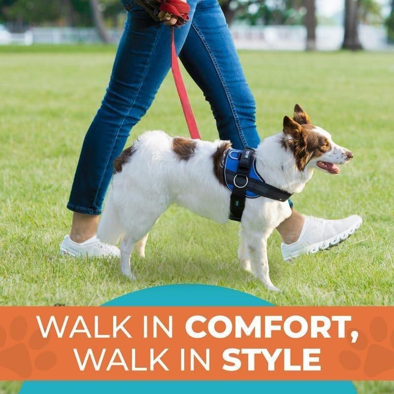 Joyride 2.0 Starry Night – Glow in the Dark No Pull Dog Harness for Medium Dogs Border Collie Dual Adjustable Pressure Release Design Reflective Trim Padded Chest Vest XS S M L XL