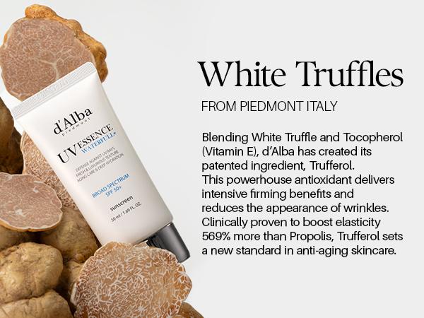 [OFFICIAL d'Alba] Waterfull UV Essence Sunscreen - Lightweight SPF 50+ PA++++ Vegan Sun Care & Facial Moisturizer (1.69 fl oz) Moisture Skincare